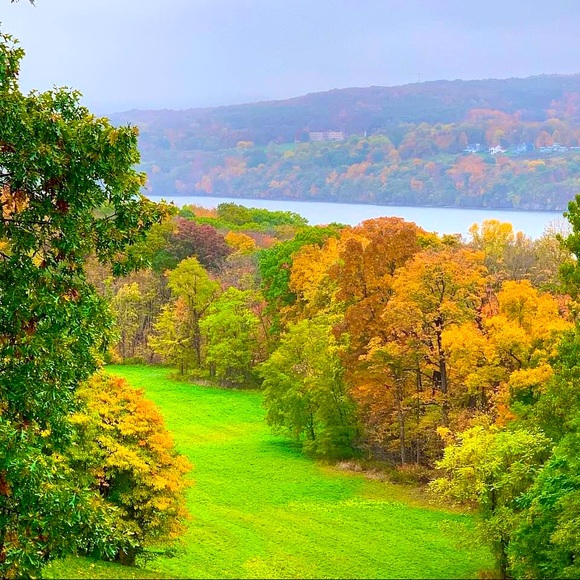 No Sale - Picture 1 of 1